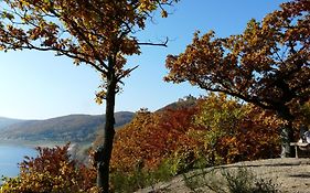Belvedere - Das Bio Hotel Garni & Suitehotel Am Edersee ! Unser Geschenk Fuer Sie, Auch Die Gaestecard Grimmheimat!
